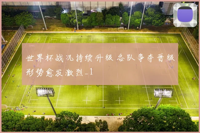 世界杯战况持续升级 各队争夺晋级形势愈发激烈_1