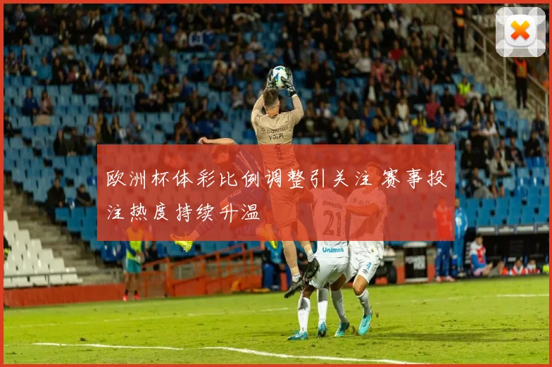 欧洲杯体彩比例调整引关注 赛事投注热度持续升温