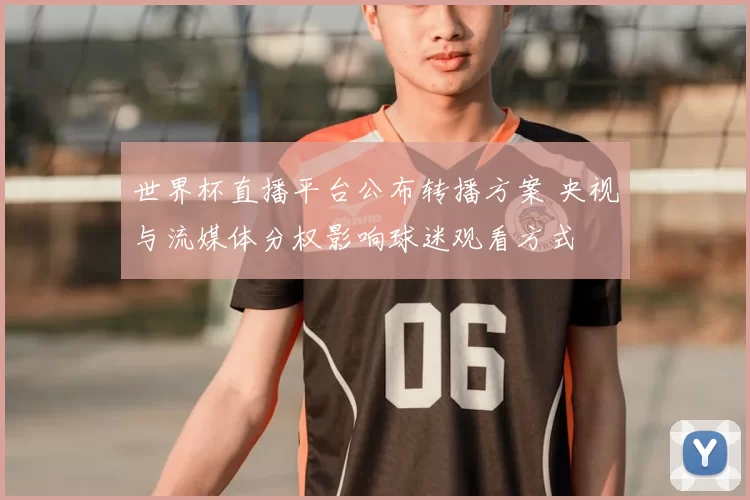 世界杯直播平台公布转播方案 央视与流媒体分权影响球迷观看方式