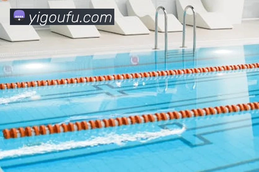 App Interface Preview