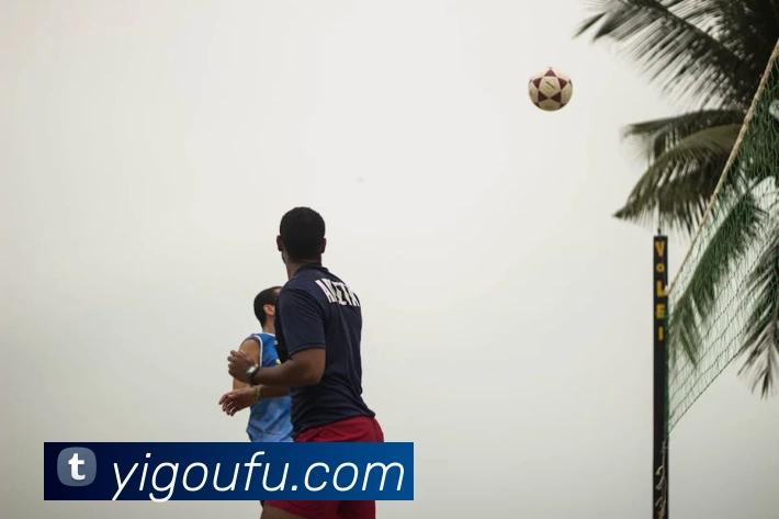 云开体育app下载安装最新版(中国)有限公司 - 官网APP 封面图